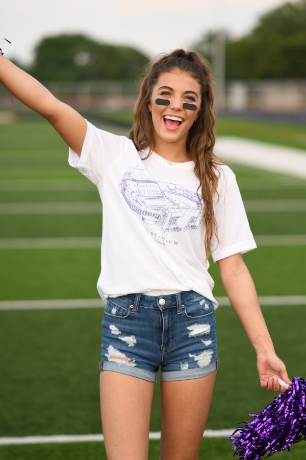 Tiger Stadium Tee Fashion